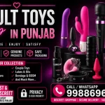 Sex Toys in Punjab Buy Adult Sex Toys Online – adultsextoysindia
