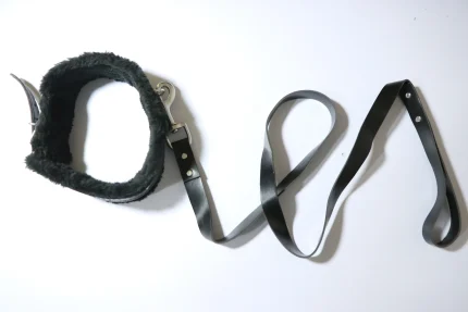 Premium Faux Leather BDSM Collar