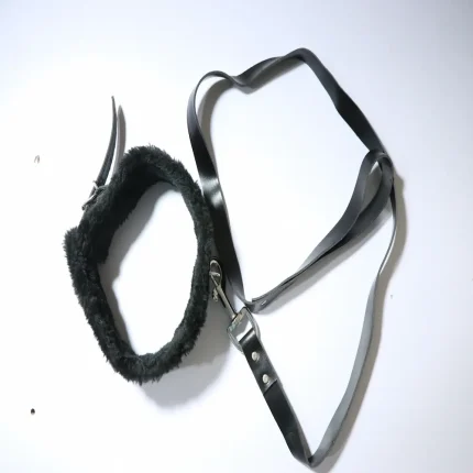 Leather BDSM Collar